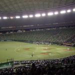 多和田真三郎（西武）ってどんな選手？経歴や成績は？