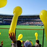 種市篤暉(ロッテ)ってどんな選手？経歴や成績は？